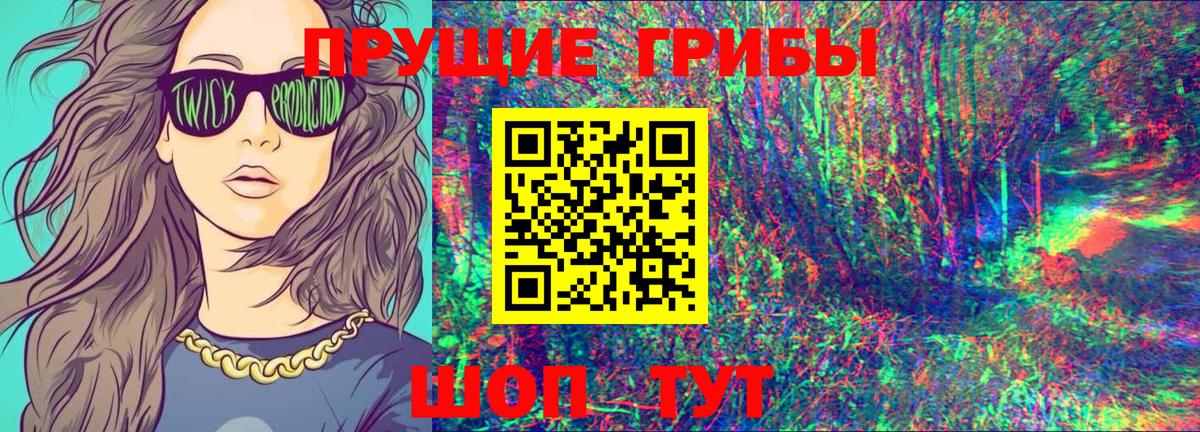 Псилоцибиновые грибы Magic Shrooms  Вход с VPN  Петропавловск-Камчатский  Галлюциногенные грибы GOLDEN TEACHER 